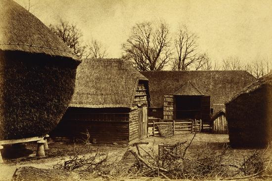 Photographic Print, , large