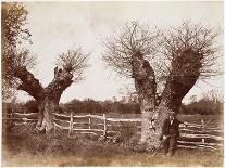 Timbered and Thatched Farm Building with Cart-Benjamin Brecknell Turner-Photographic Print