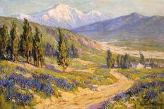 Spring Bloom in the Desert-Benjamin Chambers-Framed Stretched Canvas