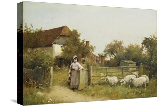 Stretched Canvas Print, , large