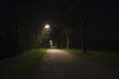illuminateded park by night-Benjamin Engler-Photographic Print