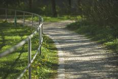 small path through a meadow-Benjamin Engler-Framed Photographic Print