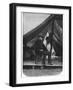 Benjamin Franklin Butler-null-Framed Photographic Print