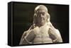 Benjamin Franklin Statue at National Portrait Gallery-Billy Hathorn-Framed Stretched Canvas