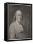 Benjamin Franklin the American Statesman Scientist and Philosopher in Later Life-null-Framed Stretched Canvas