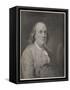Benjamin Franklin the American Statesman Scientist and Philosopher in Later Life-null-Framed Stretched Canvas