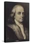 Benjamin Franklin-null-Framed Stretched Canvas