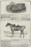 Roughing Horses for Frosty Weather-Benjamin Herring-Giclee Print