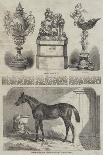 The Ascot Cup-Benjamin Herring-Giclee Print