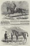 'Matilda Beating Mameluke, St. Leger, 1827', 1827-Benjamin Herring-Giclee Print