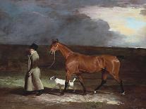 Three Worthies of the Turf at Newmarket, C.1804: John Hilton, Judge of the Canvas)-Benjamin Marshall-Giclee Print