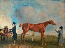 Thomas Mellish on His Hunter 'saucebox'-Benjamin Marshall-Mounted Giclee Print