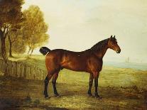 Thomas Mellish on His Hunter 'saucebox'-Benjamin Marshall-Mounted Giclee Print