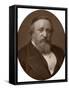 Benjamin Ward Richardson, British Physician and Writer on Medical History, 1883-Lock & Whitfield-Framed Stretched Canvas