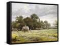 Canvas Black