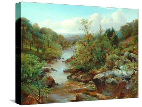 Stretched Canvas Print, , large