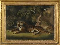 Tiger in a Jungle Landscape-Benjamin Zobel-Framed Giclee Print