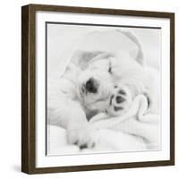 Benjamin-Rachael Hale-Framed Photo