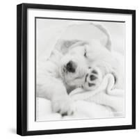 Benjamin-Rachael Hale-Framed Photo