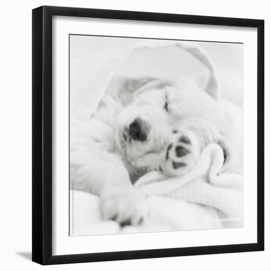 Benjamin-Rachael Hale-Framed Photo