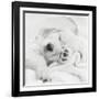 Benjamin-Rachael Hale-Framed Photo