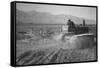 Benji Iguchi Driving Tractor in Field-Ansel Adams-Framed Stretched Canvas