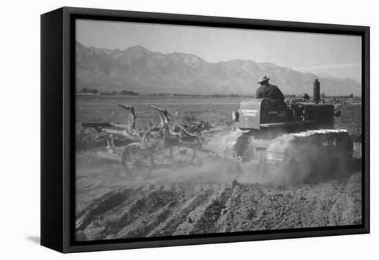 Benji Iguchi Driving Tractor in Field-Ansel Adams-Framed Stretched Canvas