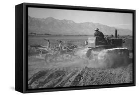 Benji Iguchi Driving Tractor in Field-Ansel Adams-Framed Stretched Canvas