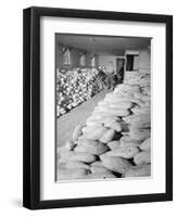 Benji Iguchi with squash, Manzanar Relocation Center, 1943-Ansel Adams-Framed Premium Photographic Print