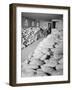 Benji Iguchi with squash, Manzanar Relocation Center, 1943-Ansel Adams-Framed Photographic Print