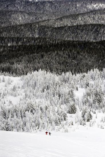 Premium Photographic Print, , large