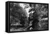 Bennington, Vermont, View of Putnam Street Road-Lantern Press-Framed Stretched Canvas