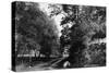 Bennington, Vermont, View of Putnam Street Road-Lantern Press-Stretched Canvas