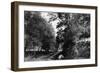 Bennington, Vermont, View of Putnam Street Road-Lantern Press-Framed Art Print