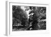 Bennington, Vermont, View of Putnam Street Road-Lantern Press-Framed Art Print