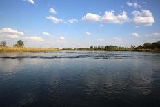 Okavango River-benshots-Stretched Canvas