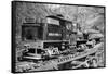 Benson Timber Company Train Hauling Logs - Clatskanie, OR-Lantern Press-Framed Stretched Canvas