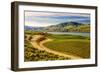 Benson Vineyards Estate Winery, Lake Chelan, Washington, USA-Richard Duval-Framed Photographic Print