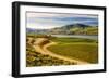 Benson Vineyards Estate Winery, Lake Chelan, Washington, USA-Richard Duval-Framed Photographic Print