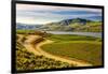 Benson Vineyards Estate Winery, Lake Chelan, Washington, USA-Richard Duval-Framed Photographic Print