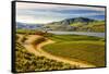 Benson Vineyards Estate Winery, Lake Chelan, Washington, USA-Richard Duval-Framed Stretched Canvas