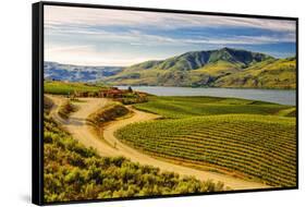 Benson Vineyards Estate Winery, Lake Chelan, Washington, USA-Richard Duval-Framed Stretched Canvas