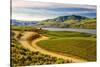Benson Vineyards Estate Winery, Lake Chelan, Washington, USA-Richard Duval-Stretched Canvas