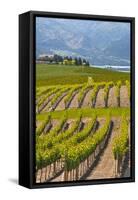Benson Vineyards Estate Winery, Lake Chelan, Washington, USA-Richard Duval-Framed Stretched Canvas