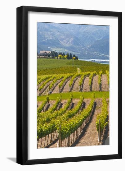 Benson Vineyards Estate Winery, Lake Chelan, Washington, USA-Richard Duval-Framed Premium Photographic Print