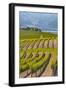 Benson Vineyards Estate Winery, Lake Chelan, Washington, USA-Richard Duval-Framed Photographic Print