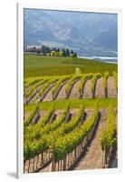 Benson Vineyards Estate Winery, Lake Chelan, Washington, USA-Richard Duval-Framed Photographic Print