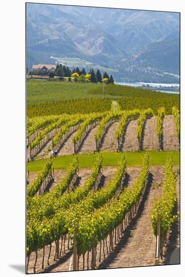 Benson Vineyards Estate Winery, Lake Chelan, Washington, USA-Richard Duval-Mounted Premium Photographic Print