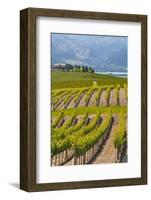 Benson Vineyards Estate Winery, Lake Chelan, Washington, USA-Richard Duval-Framed Photographic Print