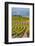 Benson Vineyards Estate Winery, Lake Chelan, Washington, USA-Richard Duval-Framed Photographic Print